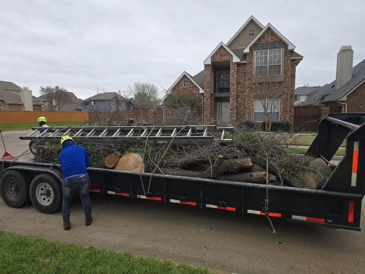 Expert Lot Clearing with proper safety equipment in Flom